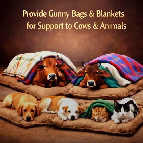 Donate Gunny Bags & Blankets for Animals