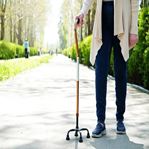 walking cane for elderly