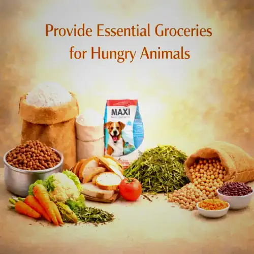 Donate Food Groceries for Dogs & Animals